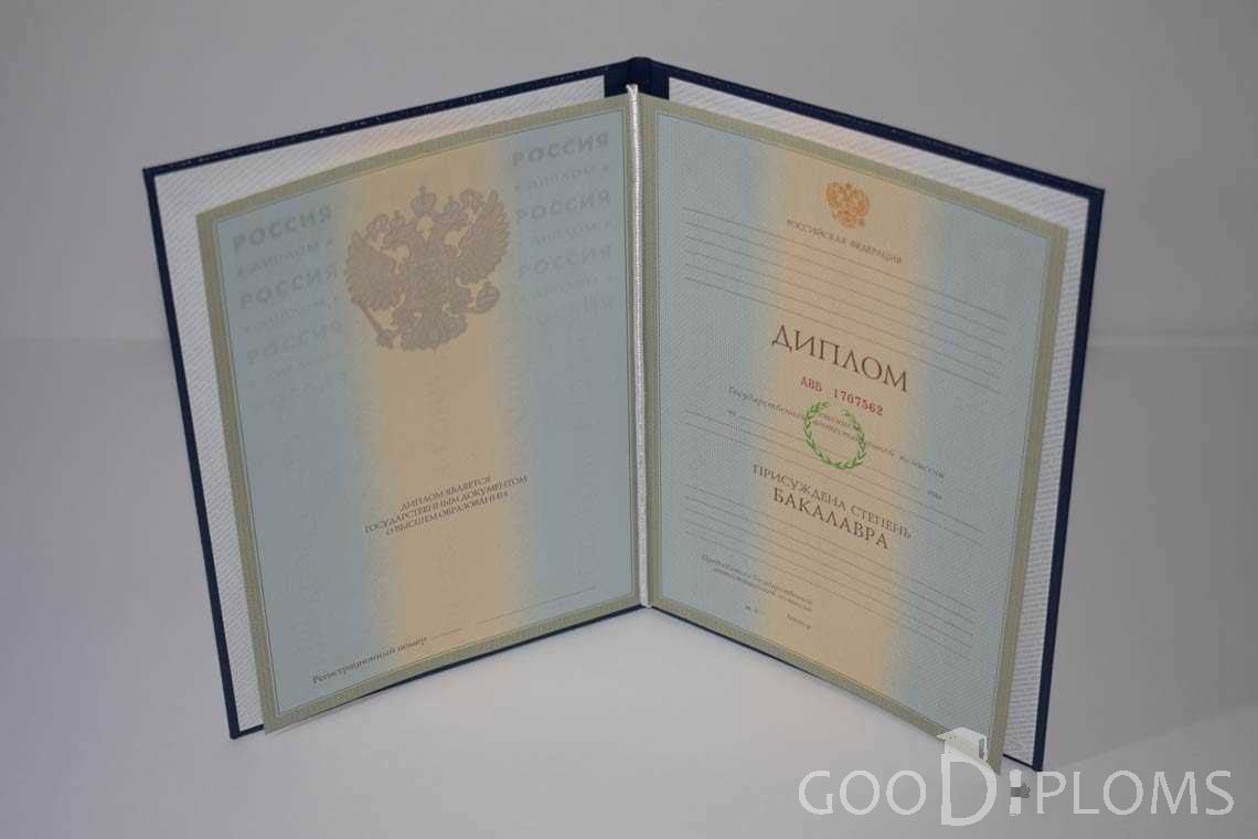Диплом Бакалавра в период c 2003 по 200 год - Запорожье